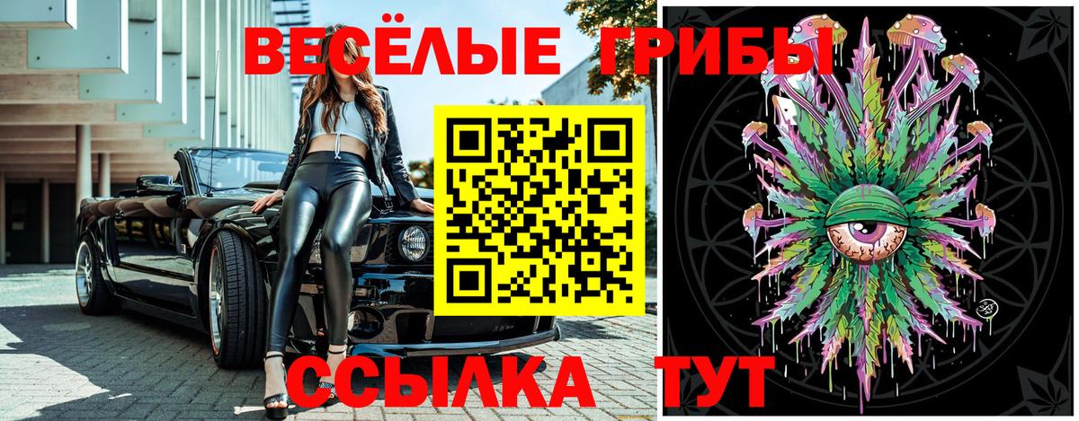 Солнечногорск  Псилоцибиновые грибы GOLDEN TEACHER  Вход с VPN  Галлюциногенные грибы мицелий 