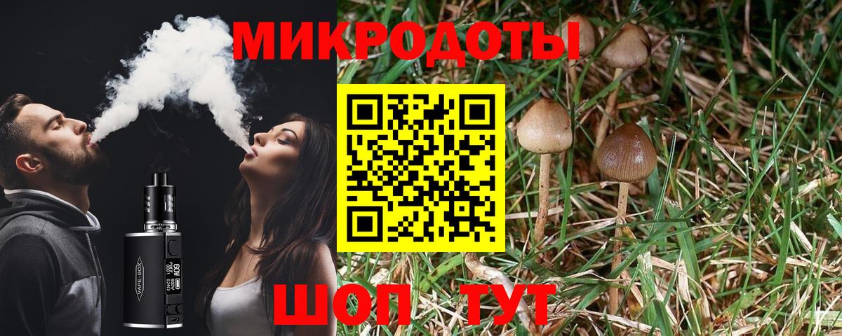 Галлюциногенные грибы мицелий Солнечногорск